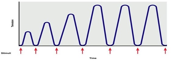 Cover - Comp1 للانارة